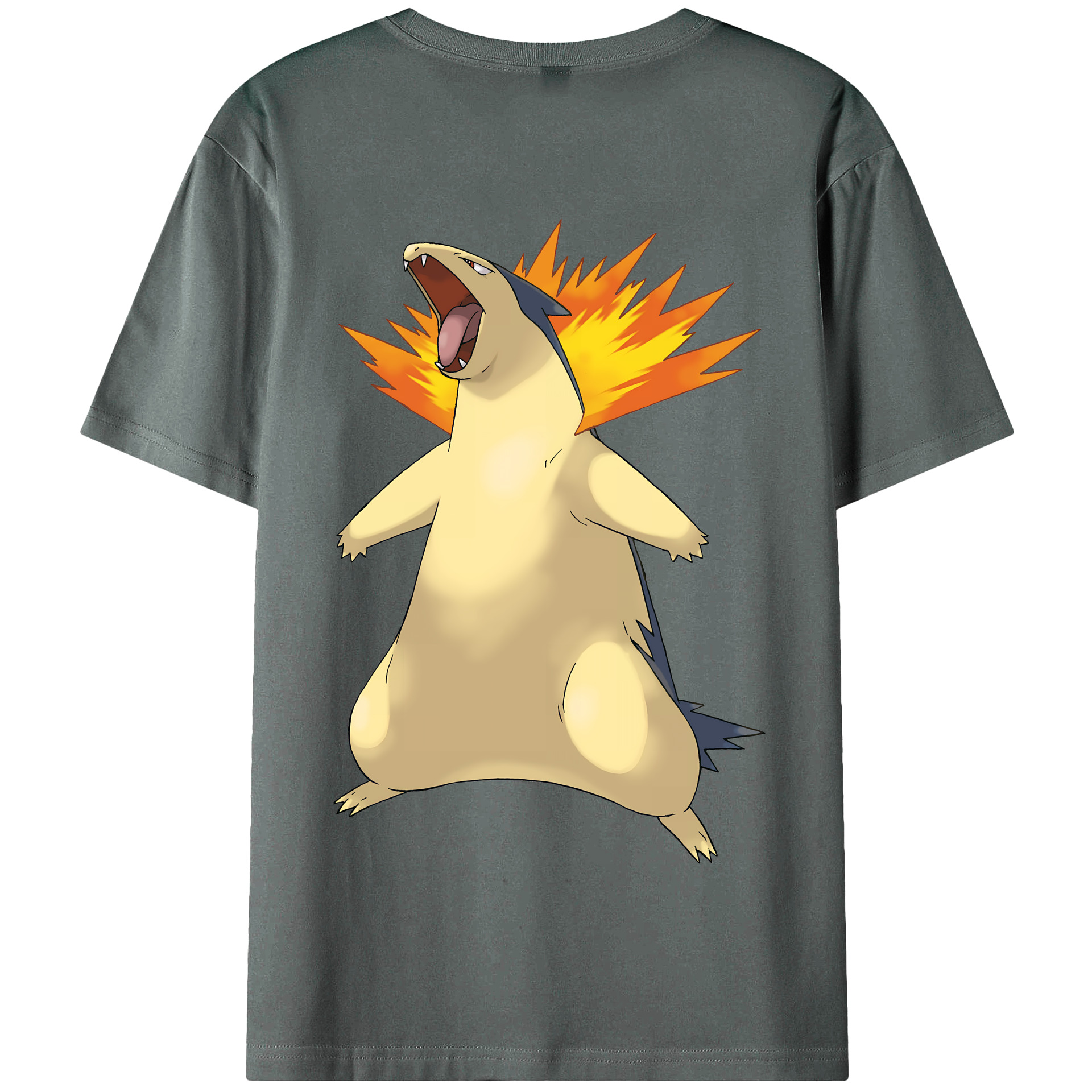 （画像用） ポケットモンスター Pokémon 綿100％半袖Tシャツ（背面プリント）